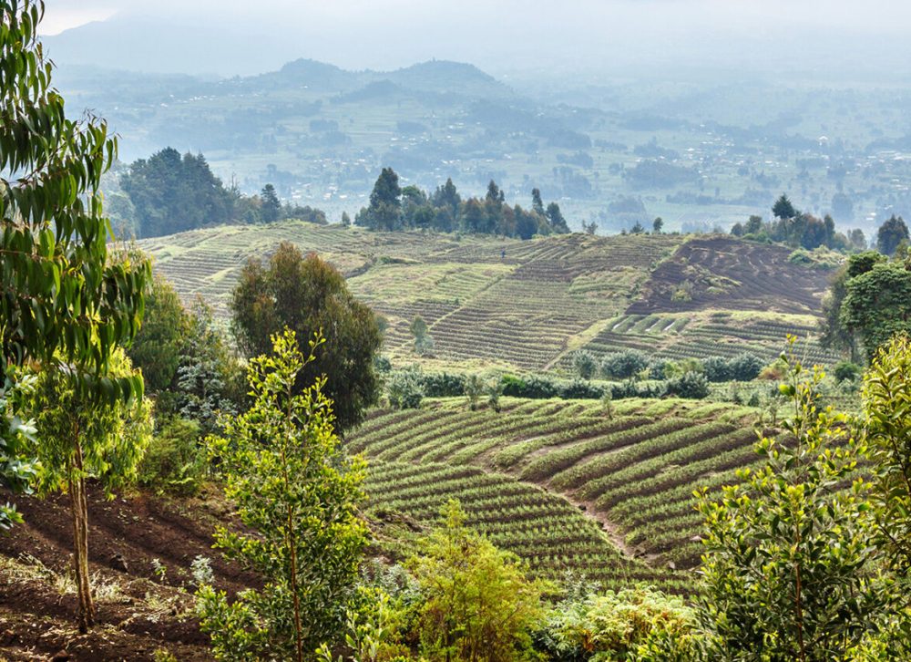 virunga-park-range-scenery--1444x848